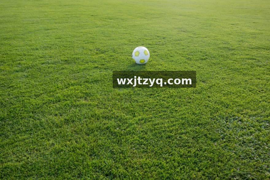 星空数据治理与数据标准管理流程示意